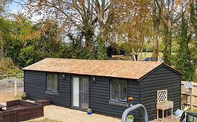 The Cabin